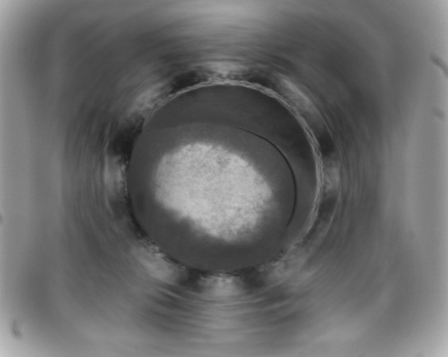 X0000096420276200801241323