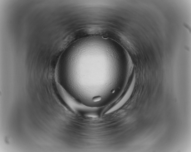 X0000096420277200801241323