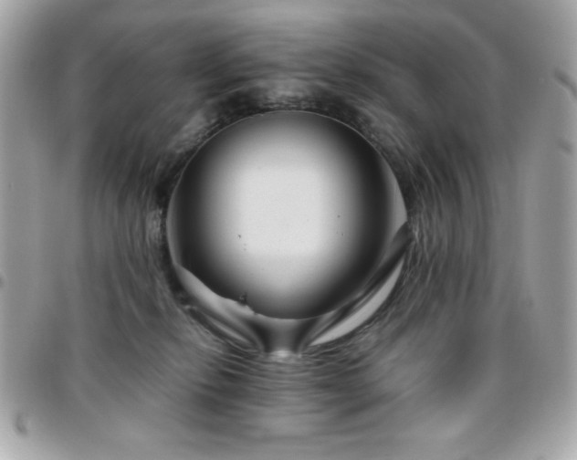 X0000096420278200801241323