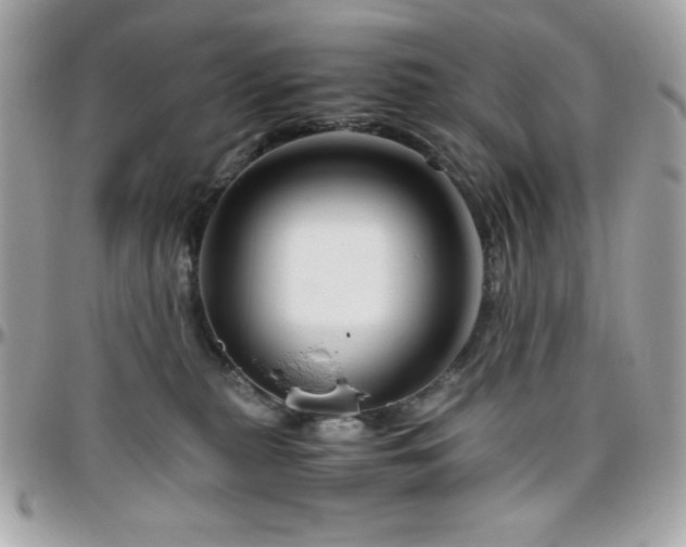 X0000096420279200801241323