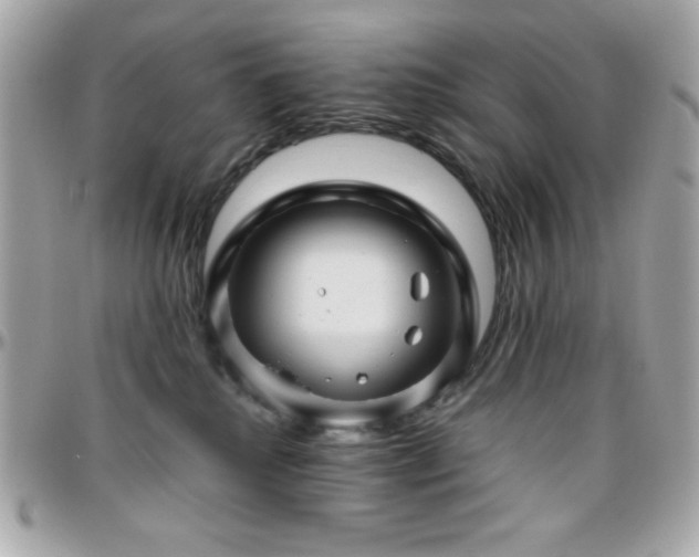 X0000096420280200801241323