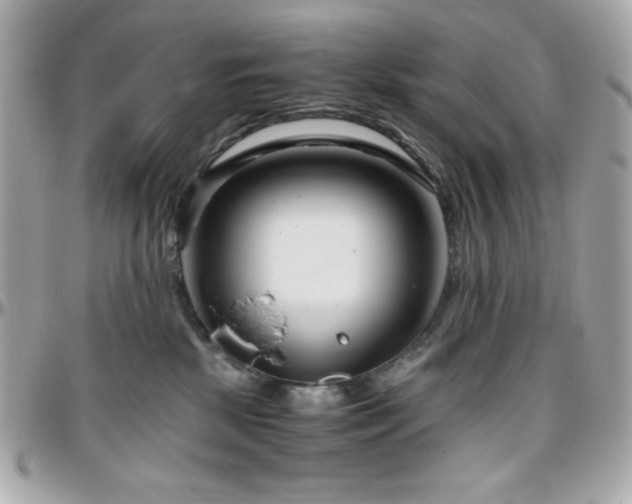X0000096420281200801241323