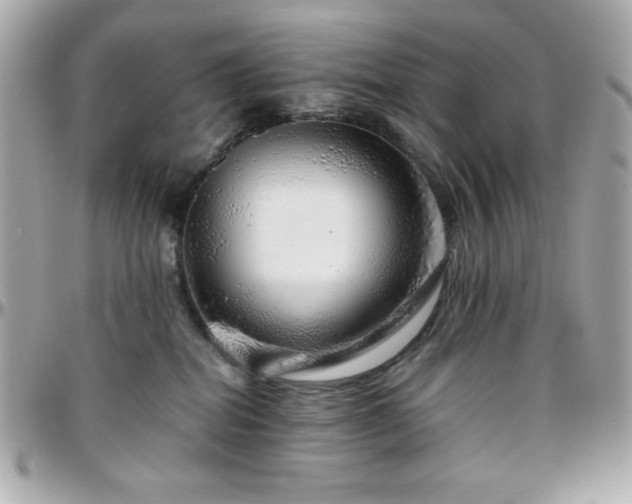 X0000096420282200801241323