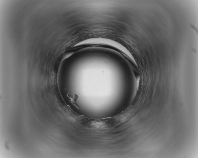 X0000096420283200801241323