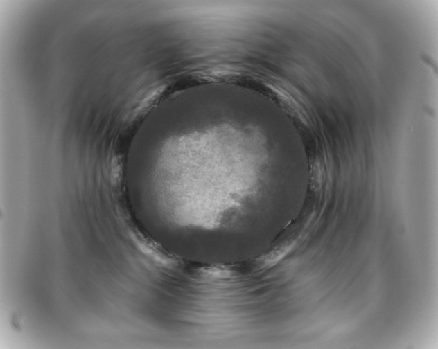 X0000096420284200801241323