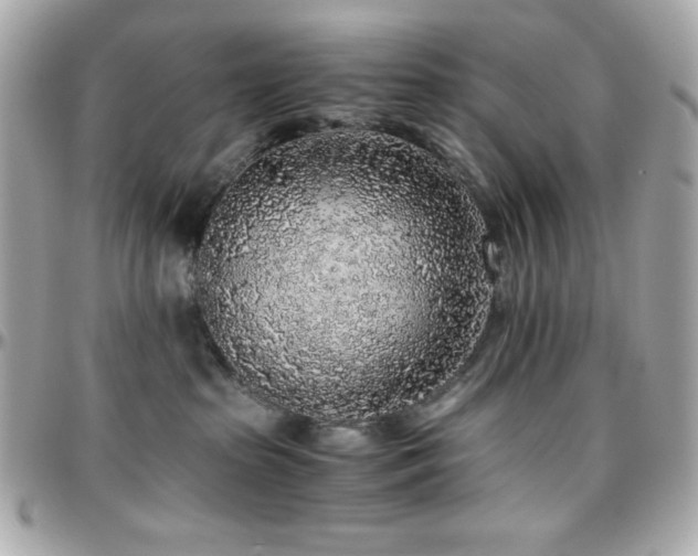 X0000096420285200801241323