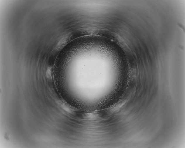 X0000096420286200801241323