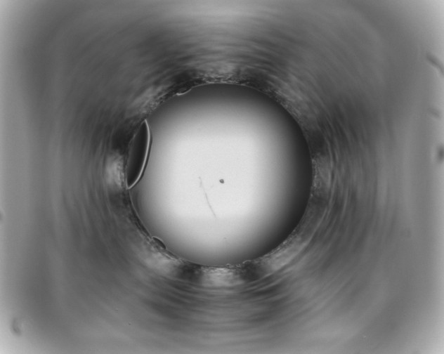 X0000096420287200801241323