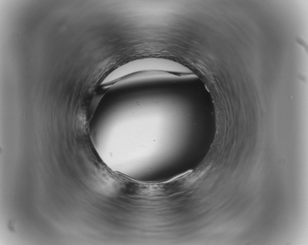 X0000096420288200801241323