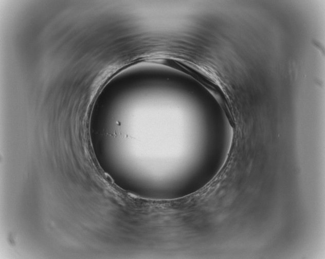 X0000096420289200801241323