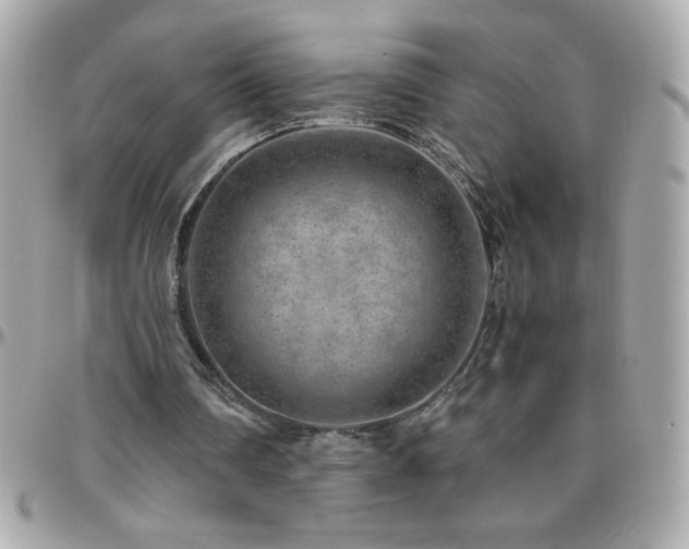 X0000096420290200801241323