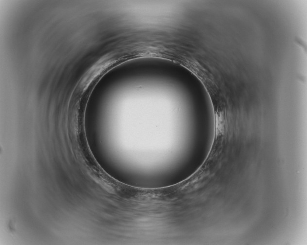X0000096420291200801241323