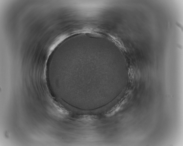 X0000096420292200801241323