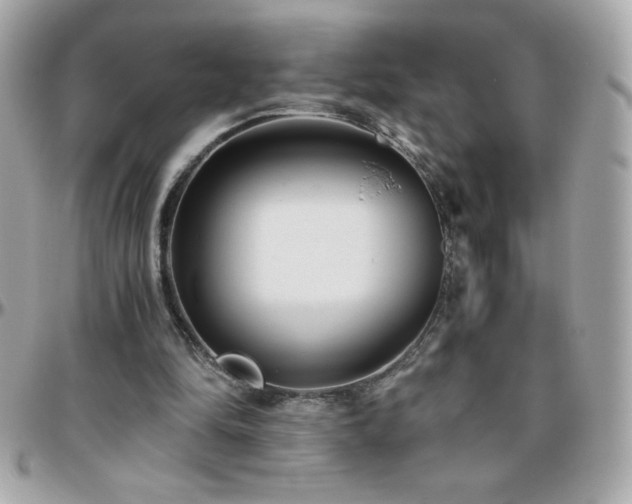 X0000096420294200801241323