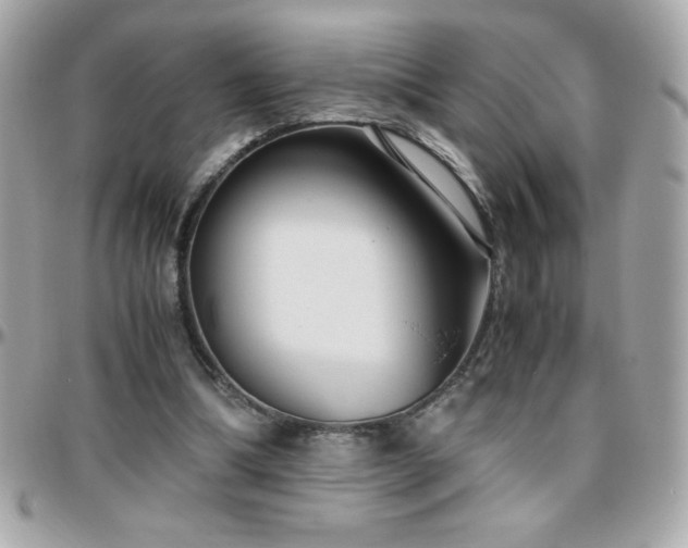 X0000096420298200801241323