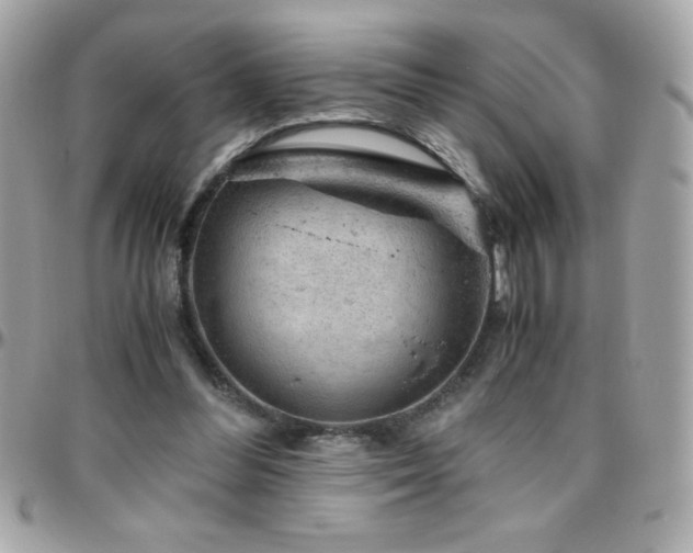 X0000096420300200801241323