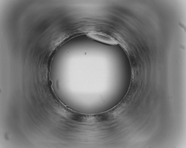 X0000096420301200801241323