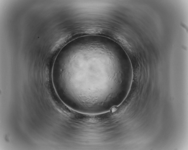 X0000096420303200801241323