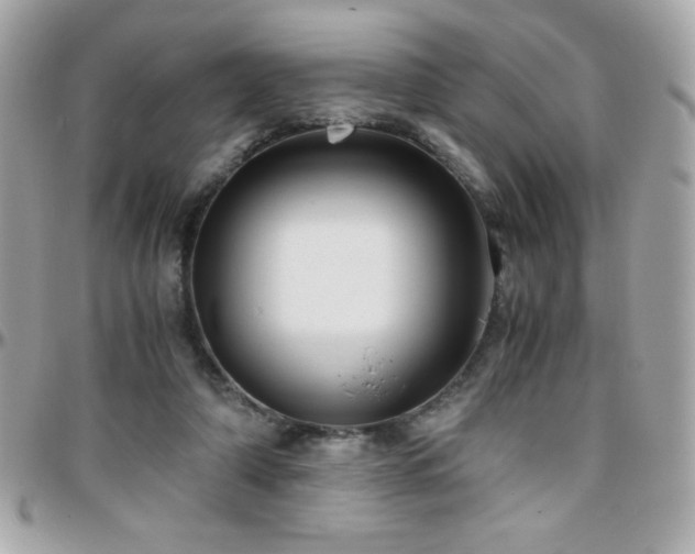 X0000096420306200801241323