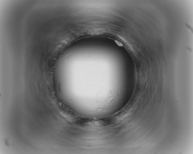 X0000096420307200801241323
