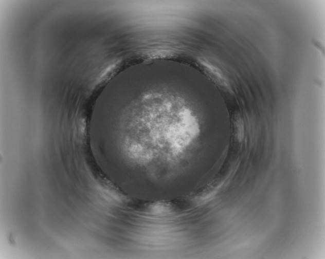 X0000096420308200801241323