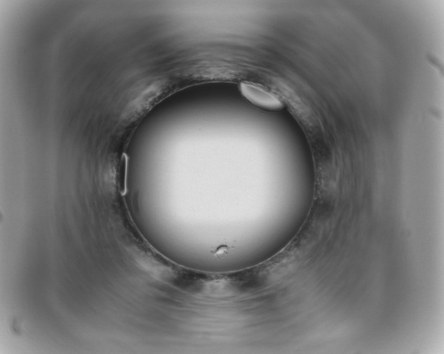 X0000096420309200801241322