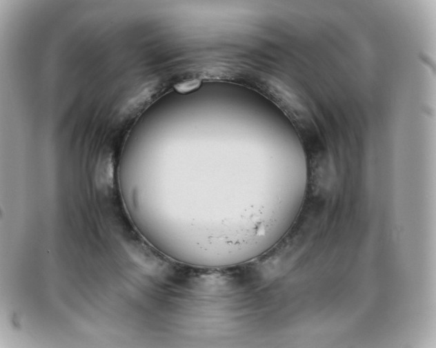X0000096420310200801241322