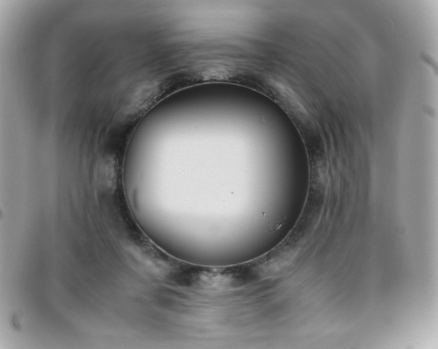 X0000096420311200801241322