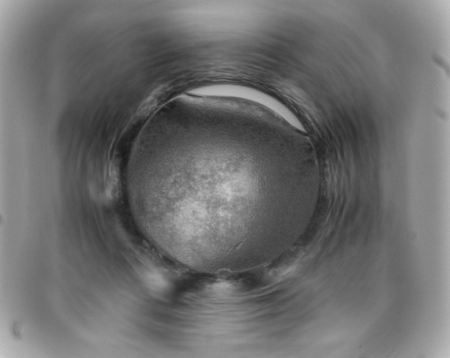 X0000096420312200801241322