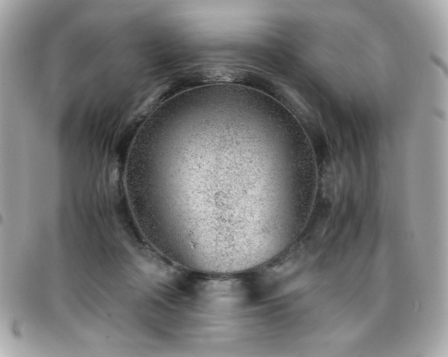 X0000096420314200801241322
