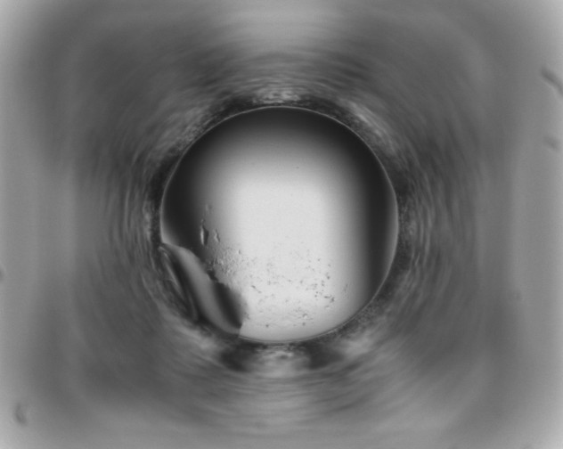 X0000096420315200801241322