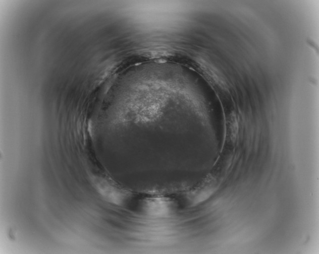X0000096420316200801241322