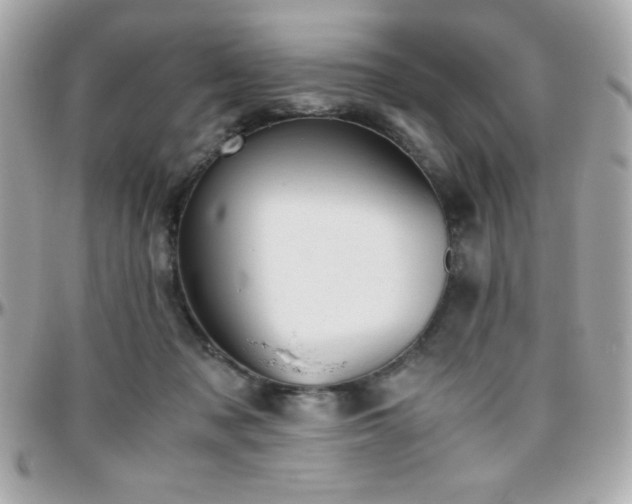 X0000096420317200801241322