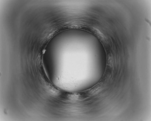 X0000096420318200801241322