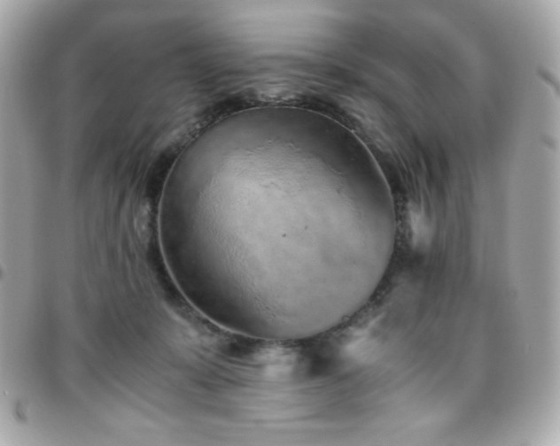 X0000096420319200801241322