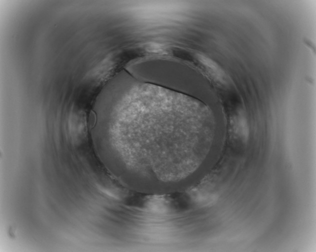 X0000096420320200801241322