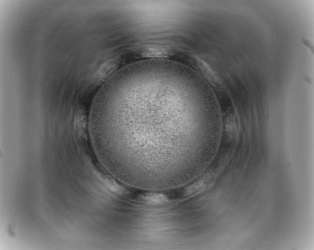 X0000096420322200801241322