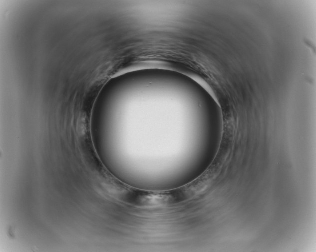 X0000096420323200801241322