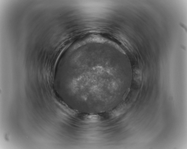 X0000096420324200801241322