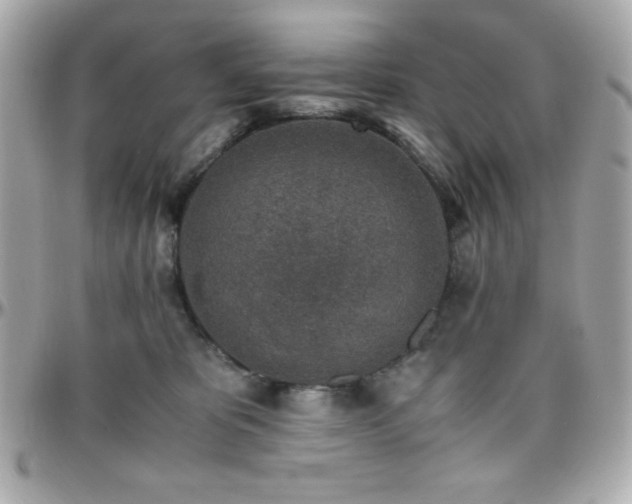 X0000096420325200801241322