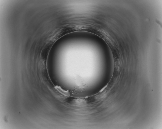 X0000096420327200801241322