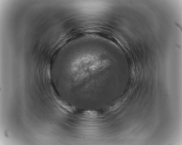 X0000096420328200801241322