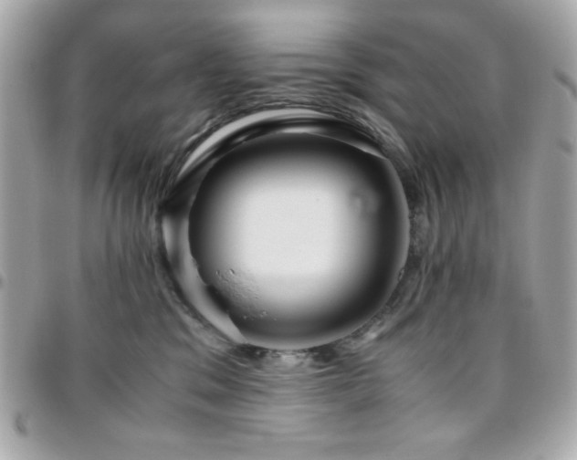 X0000096420329200801241322