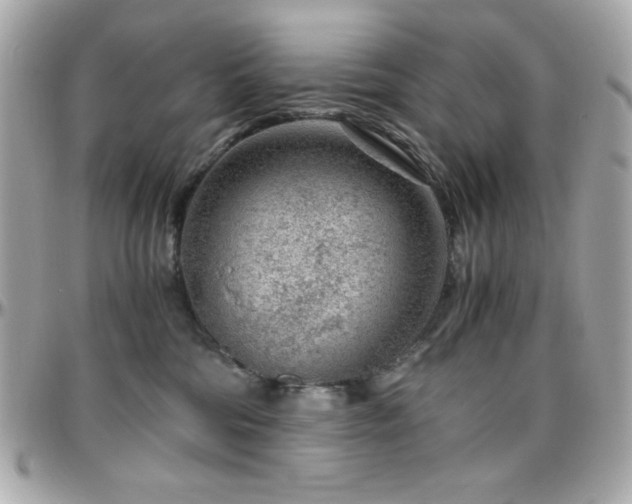 X0000096420330200801241322