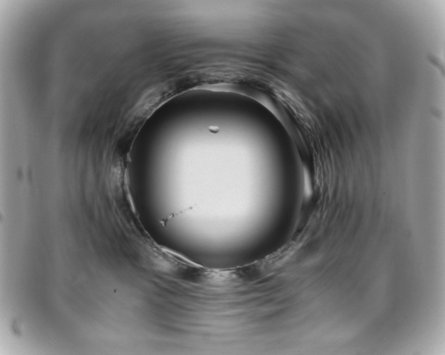 X0000096420333200801241322