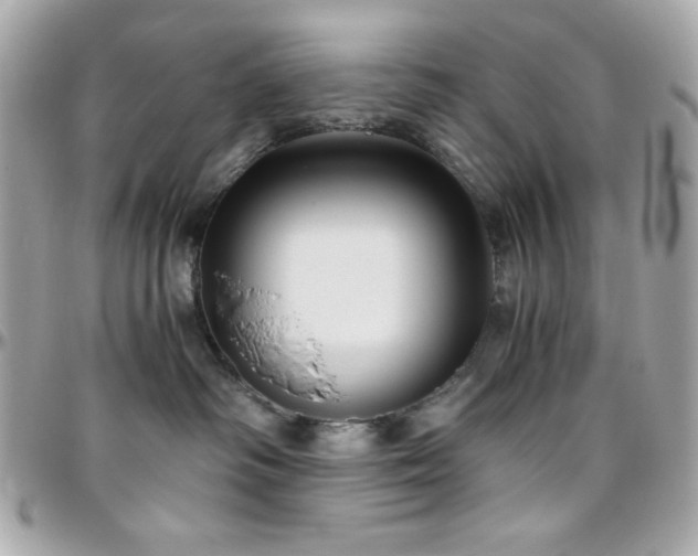 X0000096420334200801241322