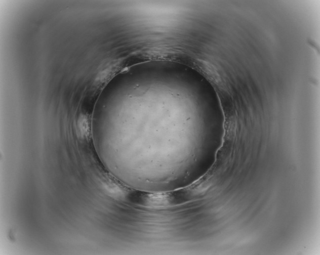 X0000096420335200801241322
