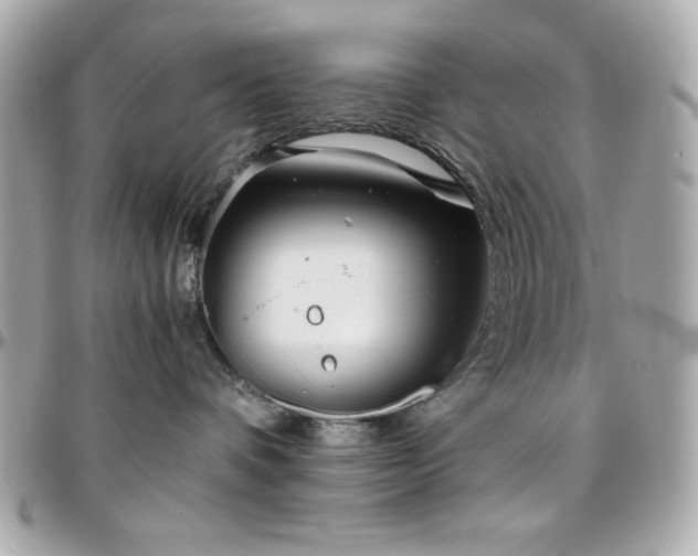 X0000096420336200801241322