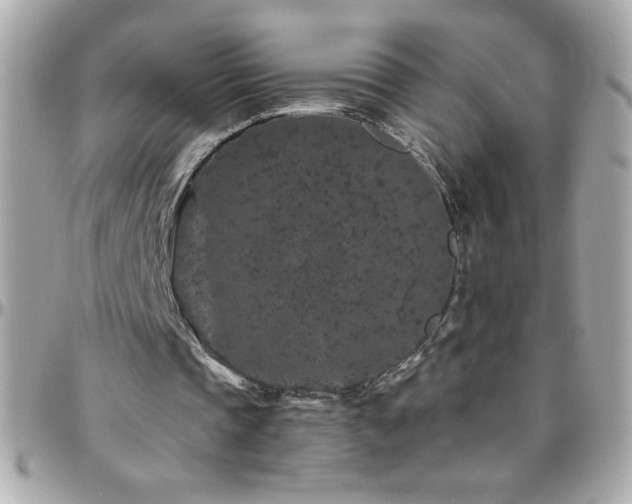 X0000096420337200801241321