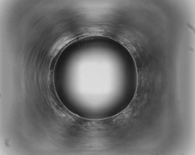 X0000096420338200801241321